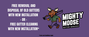 Website Graphic (Mighty Moose) 1